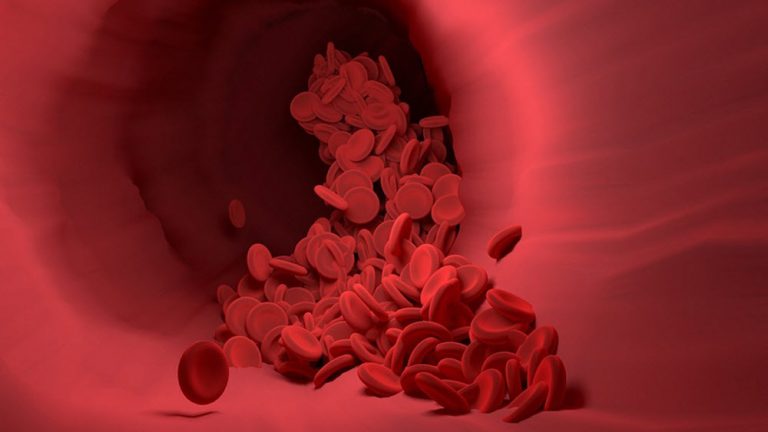 Understanding Blood Types – Biotest Plasma